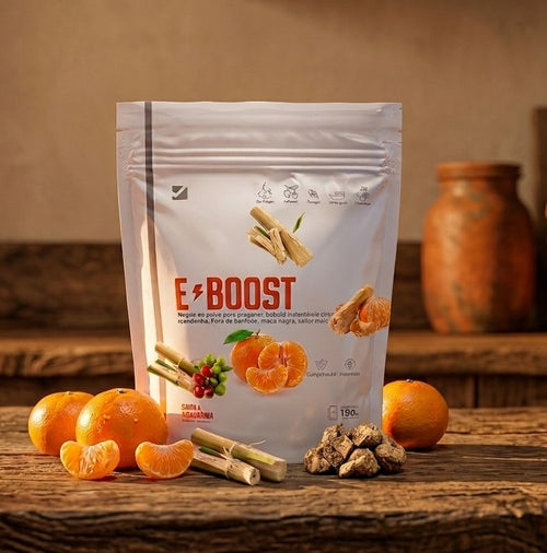 E-BOOST